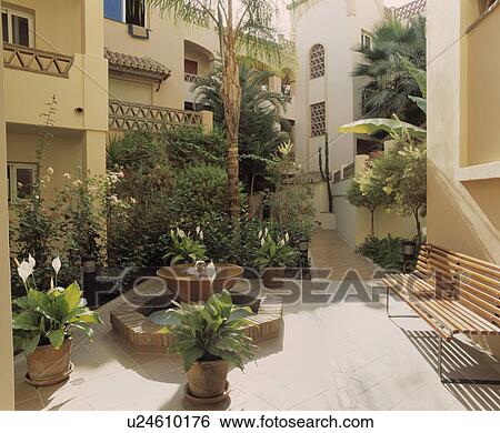 Zantedeschia in courtyard garden of Spanish villa View Large Photo Image Stock Photograph - Zantedeschia in courtyard garden of Spanish villa. Fotosearch
