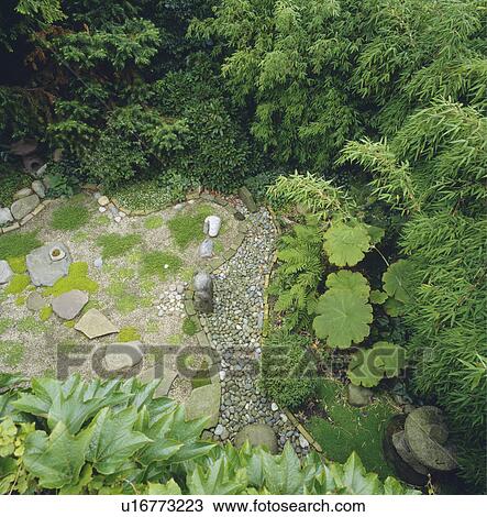 Aerial view of stone paving and green shrubs in Japanese-style town garden View Large Photo Image Stock Image - Aerial view of stone paving and green shrubs in Japanese-style town garden. Fotosearch