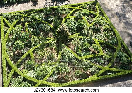 Aerial view of Tradescant garden in London View Large Photo Image Picture - Aerial view of Tradescant garden in London. Fotosearch
