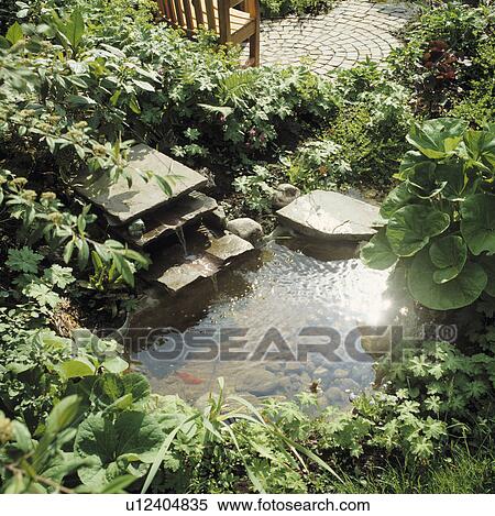 Aerial view of water pouring from stone slaps into small garden pond View Large Photo Image Stock Photography - Aerial view of water pouring from stone slaps into small garden pond. Fotosearch