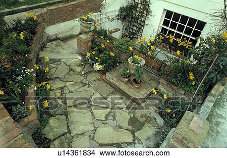 Basement garden in spring View Large Photo Image Picture - Basement garden in spring. Fotosearch