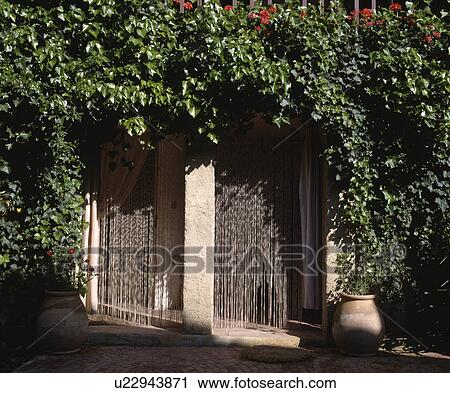 Beaded curtains on doors below climbing ivy on old French house View Large Photo Image Stock Image - Beaded curtains on doors below climbing ivy on old French house. Fotosearch