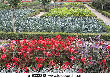 Stock Photo - beds, red, formal, gardens. Fotosearch