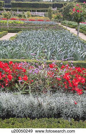 Stock Photo - beds, red, formal, gardens. Fotosearch