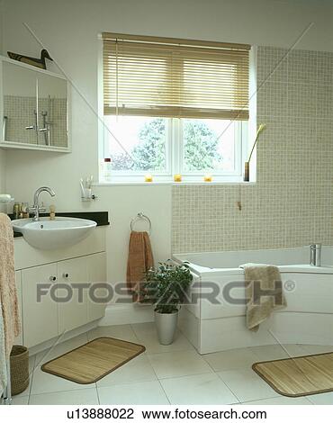 blind, interior, mats, houseplant, modern View Large Photo Image Stock Image - blind, interior, mats, houseplant, modern . Fotosearch