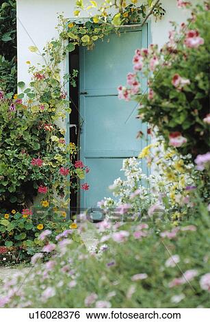 Stock Photograph - Blue door in white wall in garden in summer. Fotosearch