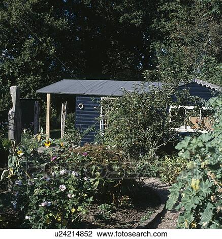 Stock Image - Blue painted wooden shed in country garden. Fotosearch