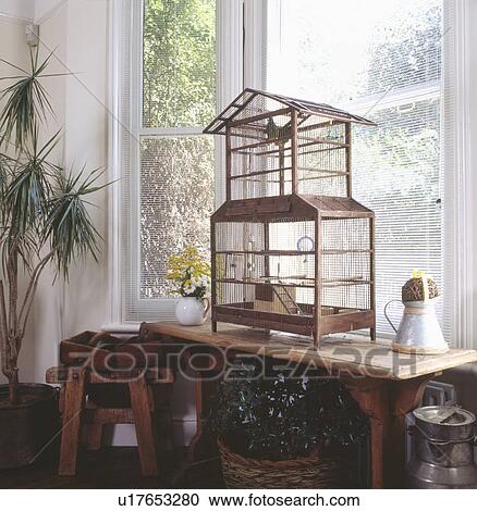 Budgerigar in traditional oriental birdcage on wooden table in front of window with slatted white blinds View Large Photo Image Stock Image - Budgerigar in traditional oriental birdcage on wooden table in front of window with slatted white blinds. Fotosearch