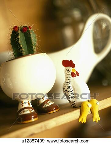 Cactus growing in novelty egg-cup with feet on shelf with chicken ornament View Large Photo Image Stock Photo - Cactus growing in novelty egg-cup with feet on shelf with chicken ornament. Fotosearch