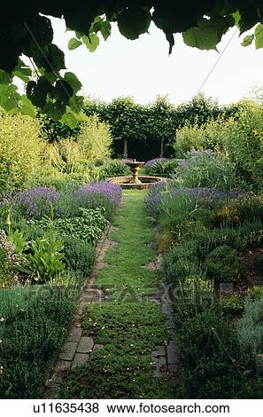 Camomile and brick path in large country herb garden View Large Photo Image Stock Photo - Camomile and brick path in large country herb garden . Fotosearch
