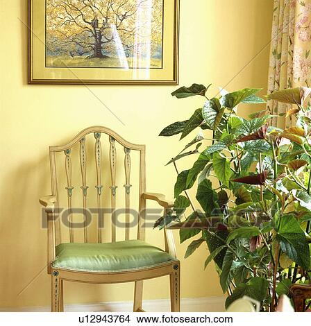 Picture - Chair beside tall green plant. Fotosearch
