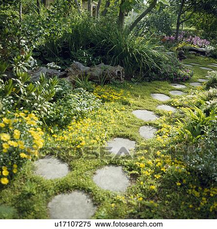 Circular paving in country garden in summer View Large Photo Image Stock Photography - Circular paving in country garden in summer. Fotosearch