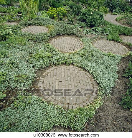 Circular paving in summer garden View Large Photo Image Stock Image - Circular paving in summer garden. Fotosearch