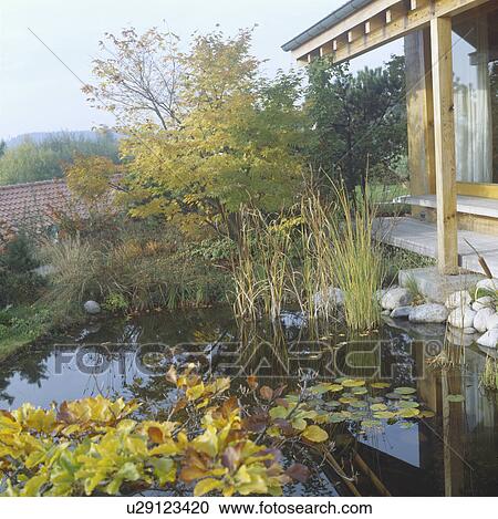Circular pond in country garden View Large Photo Image Stock Image - Circular pond in country garden. Fotosearch