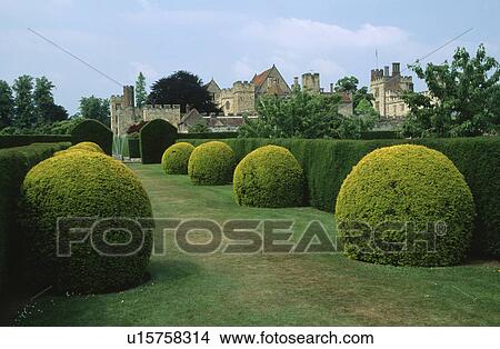 Clipped circular shrubs on either side of grass path in large country garden with stately home in background View Large Photo Image Picture - Clipped circular shrubs on either side of grass path in large country garden with stately home in background. Fotosearch