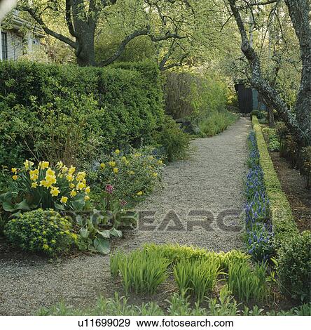 Clipped hedges in formal country garden in summer View Large Photo Image Stock Photo - Clipped hedges in formal country garden in summer. Fotosearch
