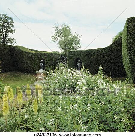 Clipped hedges in formal country garden in summer View Large Photo Image Stock Photograph - Clipped hedges in formal country garden in summer. Fotosearch