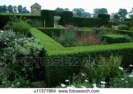 Picture - Clipped hedges in large country garden in summer. Fotosearch