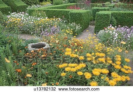 Clipped hedges in large country garden in summer View Large Photo Image Stock Image - Clipped hedges in large country garden in summer . Fotosearch