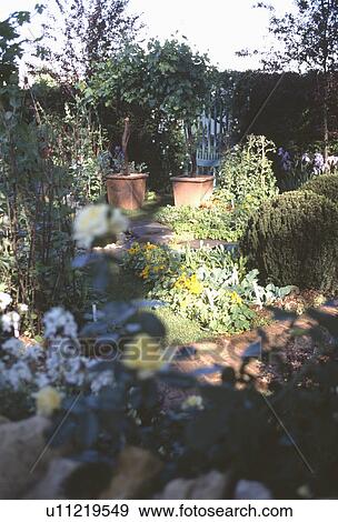 Clipped shrubs and square terracotta pots in country garden View Large Photo Image Stock Photo - Clipped shrubs and square terracotta pots in country garden. Fotosearch