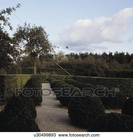 Clipped shrubs in large formal country garden bordered by shrubs View Large Photo Image Stock Image - Clipped shrubs in large formal country garden bordered by shrubs. Fotosearch