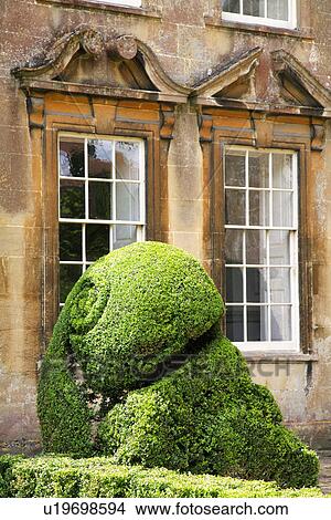 Clipped topiary in front of tall sash windows with stone pediments on English country house View Large Photo Image Picture - Clipped topiary in front of tall sash windows with stone pediments on English country house. Fotosearch