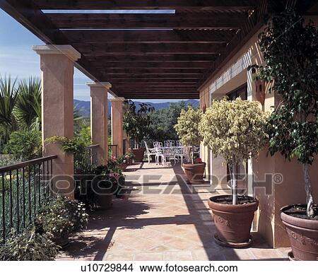 Picture - Clipped trees in pots on paved veranda of villa in Southern Spain. Fotosearch