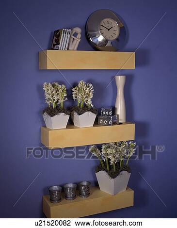 Clock, plant pots, vase and candles on yellow floating box shelves against purple painted walls View Large Photo Image Stock Image - Clock, plant pots, vase and candles on yellow floating box shelves against purple painted walls. Fotosearch