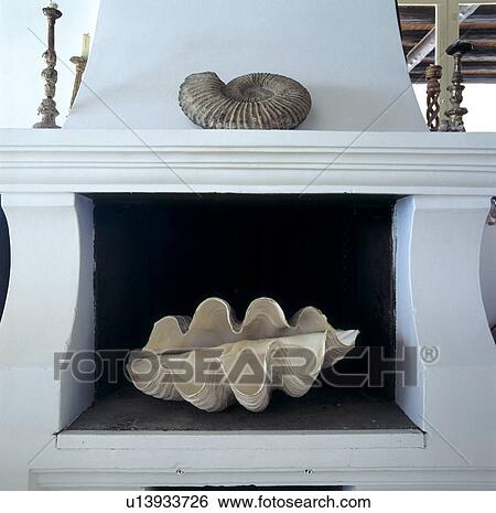 Close-up of ammonite and large seashell in white fireplace View Large Photo Image Stock Photograph - Close-up of ammonite and large seashell in white fireplace. Fotosearch