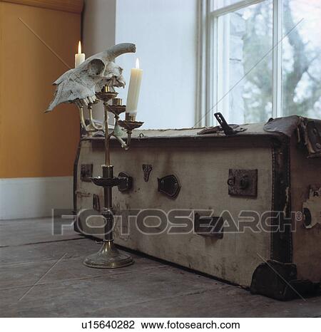 Stock Image - Close-up of animal skull on candlestick beside old wooden chest. Fotosearch