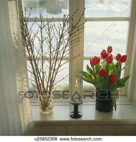 Close-up of branches and red tulips in vases on windowsill View Large Photo Image Stock Photo - Close-up of branches and red tulips in vases on windowsill. Fotosearch