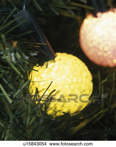 Close-up of circular yellow Christmas tree lights View Large Photo Image Picture - Close-up of circular yellow Christmas tree lights. Fotosearch