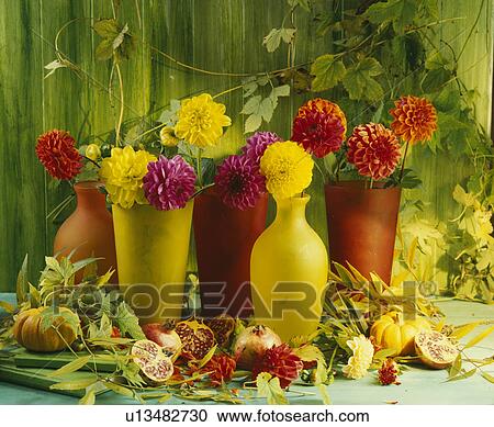 Close-up of dahlias in yellow and red glass vases View Large Photo Image Stock Image - Close-up of dahlias in yellow and red glass vases. Fotosearch