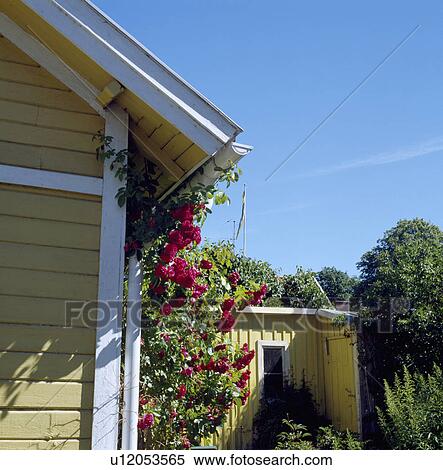 Close-up of exterior of country house View Large Photo Image Stock Photography - Close-up of exterior of country house. Fotosearch
