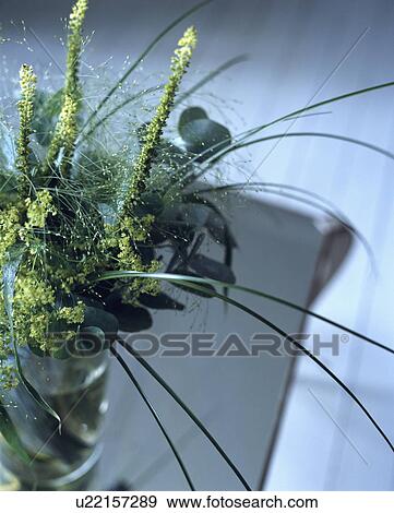 Close-up of green modern fresh flower arangement View Large Photo Image Stock Photo - Close-up of green modern fresh flower arangement. Fotosearch