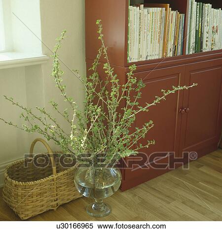 Close-up of green Spring branches in glass vase View Large Photo Image Stock Photography - Close-up of green Spring branches in glass vase. Fotosearch