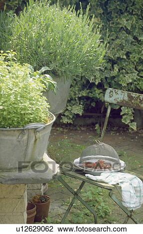 Stock Image - Close-up of herbs in metal containers. Fotosearch