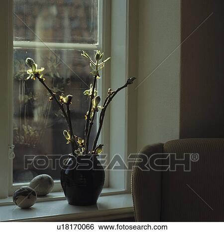 Close-up of horse-chestnut branches in vase on window sill View Large Photo Image Stock Photograph - Close-up of horse-chestnut branches in vase on window sill. Fotosearch