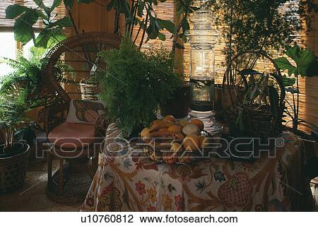 Close-up of houseplants on table View Large Photo Image Stock Image - Close-up of houseplants on table. Fotosearch