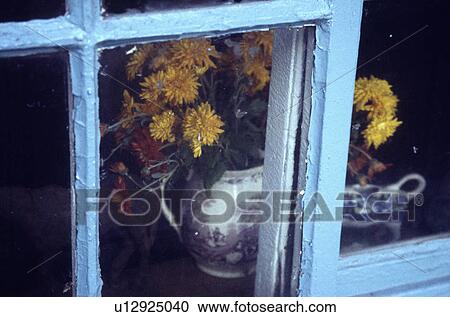 Close-up of jug of flowers in blue window View Large Photo Image Stock Image - Close-up of jug of flowers in blue window. Fotosearch