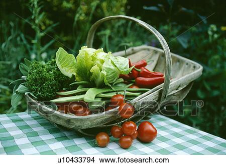 Close-up of lettuce and green beans in old wooden trug with tomatoes on green and white checked cloth View Large Photo Image Picture - Close-up of lettuce and green beans in old wooden trug with tomatoes on green and white checked cloth. Fotosearch
