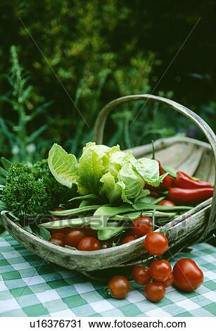 Stock Image - Close-up of lettuce and green beans in old wooden trug with tomatoes on green and white checked cloth. Fotosearch