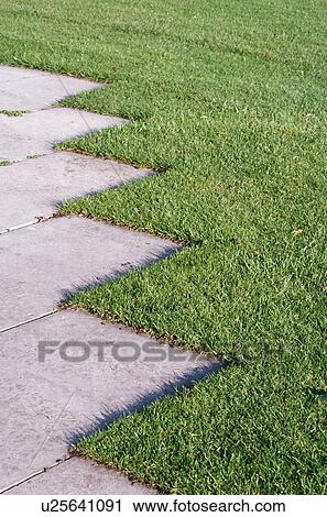 Stock Image - Close-up of paving and lawn. Fotosearch