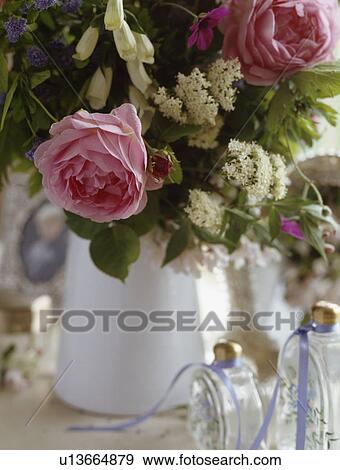 Close-up of pink roses and cream foxgloves in white jug View Large Photo Image Stock Photo - Close-up of pink roses and cream foxgloves in white jug. Fotosearch
