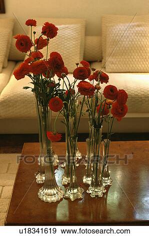 Close-up of red ranunculus in group of glass vases View Large Photo Image Stock Photo - Close-up of red ranunculus in group of glass vases. Fotosearch