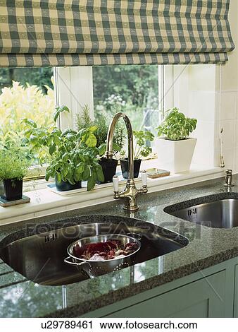 Close-up of steel mixer tap and underset sinks below window with green+white check blind above pots of herbs View Large Photo Image Stock Image - Close-up of steel mixer tap and underset sinks below window with green+white check blind above pots of herbs. Fotosearch