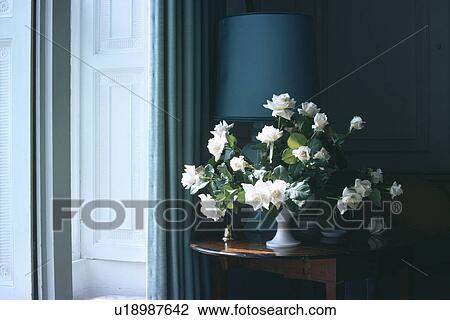Stock Image - Close-up of white roses in white stemmed vase on console table . Fotosearch
