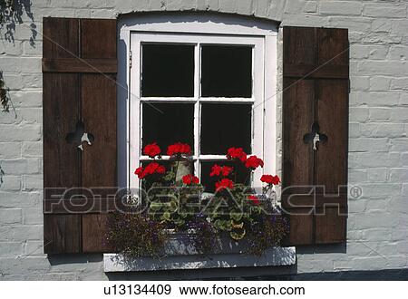 Stock Photo - Close up of window with wooden shutters and red geraniums in window box. Fotosearch