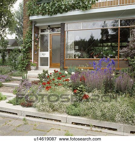 Colourful flowering plants in garden of modern house in summer View Large Photo Image Stock Photo - Colourful flowering plants in garden of modern house in summer. Fotosearch