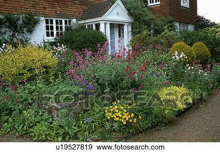Colourful flowering plants in garden of traditional country house in summer View Large Photo Image Stock Photo - Colourful flowering plants in garden of traditional country house in summer. Fotosearch